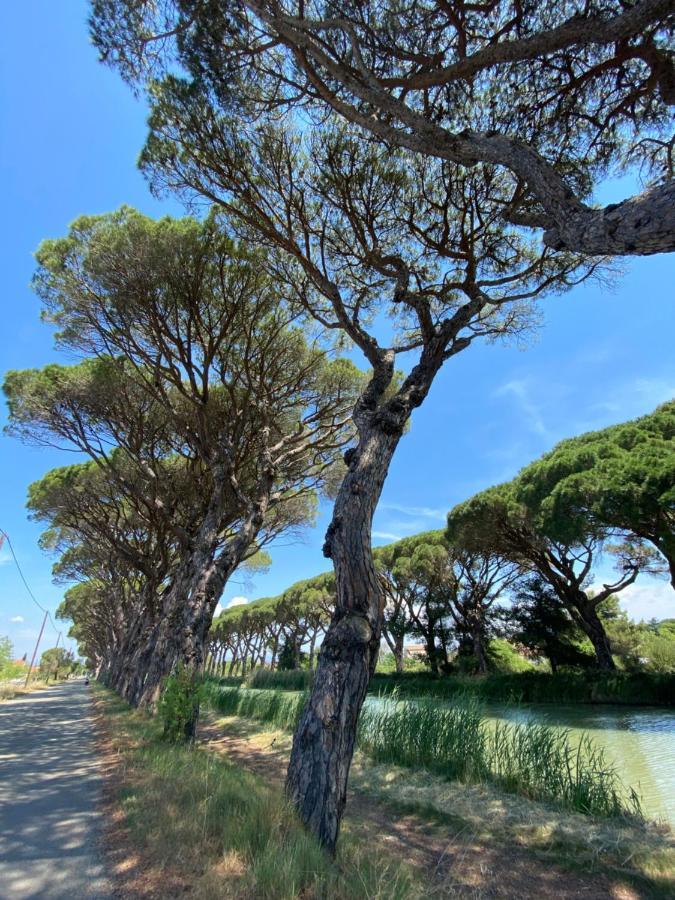 לינה וארוחת בוקר Peyriac-Minervois Le Relais D'Affiac מראה חיצוני תמונה