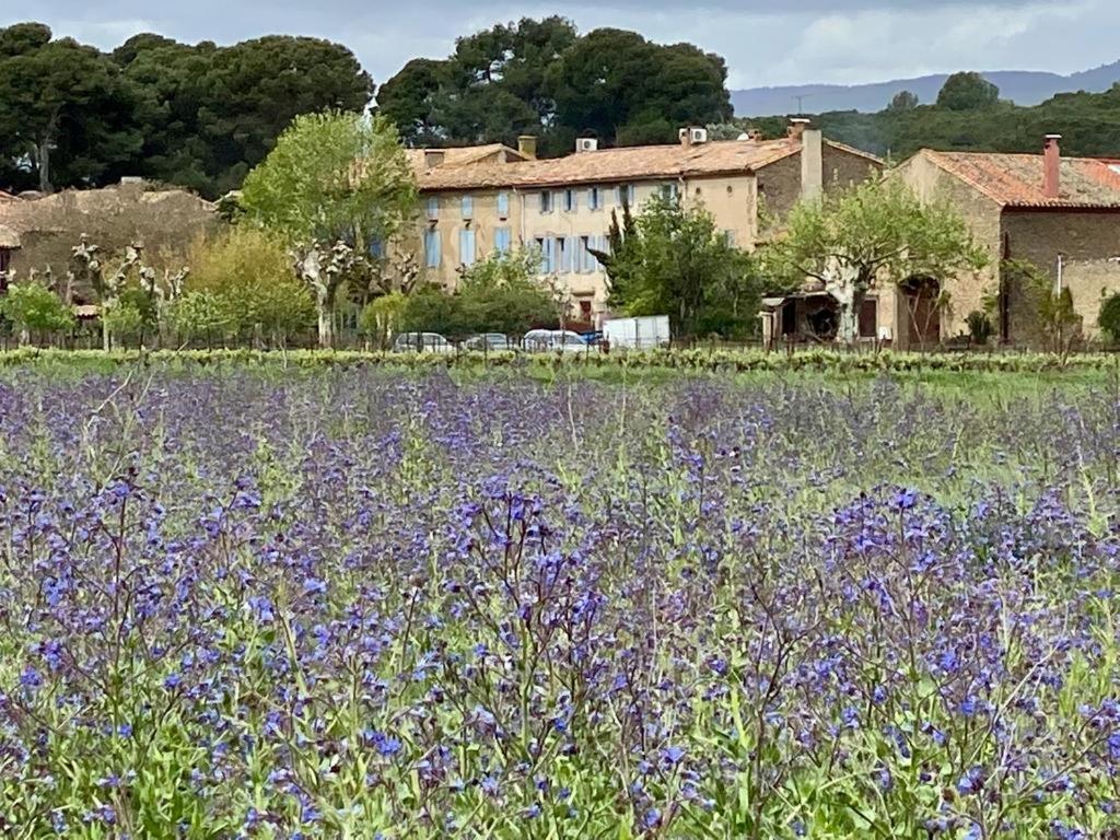 לינה וארוחת בוקר Peyriac-Minervois Le Relais D'Affiac מראה חיצוני תמונה