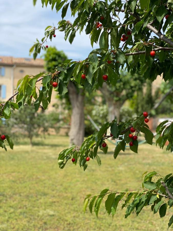 לינה וארוחת בוקר Peyriac-Minervois Le Relais D'Affiac מראה חיצוני תמונה